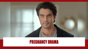 Imlie Spoiler Alert: Malini’s pregnancy to change Aditya’s thought process