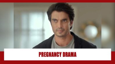 Imlie Spoiler Alert: Malini’s pregnancy to change Aditya’s thought process