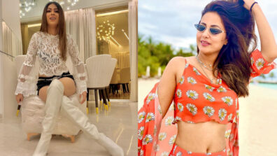 It’s Burning Hot: Nia Sharma and Hina Khan raise the sensuality quotient effortlessly, are you crushing already?