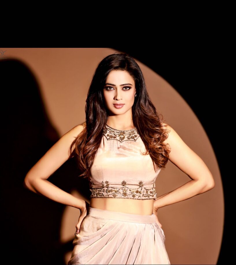 KKK 11: Shweta Tiwari Flaunts Her Toned Midriff In A Shimmery Outfit; Take A Look - 5