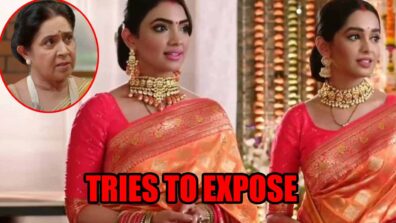 Kumkum Bhagya spoiler alert: Dida tries to expose Rhea in front of Prachi