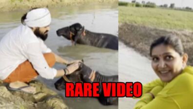 LOL MOMENT: Haryanvi dancer Sapna Choudhary shares a rare video of her husband bathing buffaloes; the latter calls one of them ‘mehbooba’