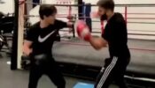 Marvel Fans Check This Out! Tom Holland Showcases His Impressive Boxing Skills During A Training Session; Watch Here