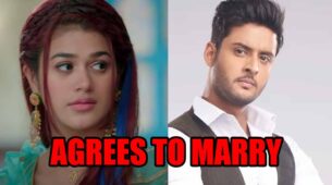 Meet spoiler alert: Manushi agrees to marry Meet Ahlawat