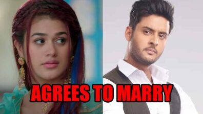 Meet spoiler alert: Manushi agrees to marry Meet Ahlawat