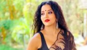 My mother minds it when people address me as Daayan: When Monalisa reacted after netizens addressed her as ‘Daayan’ in real life