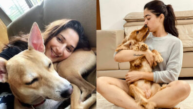 National Crush Madhuri Dixit and Rashmika Mandanna are the cutest ‘paw parents’ around and these pictures are proof