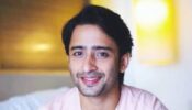 Some Occasion In Summer? Shaheer Sheikh Is Your Perfect Inspiration For Fashion Goals