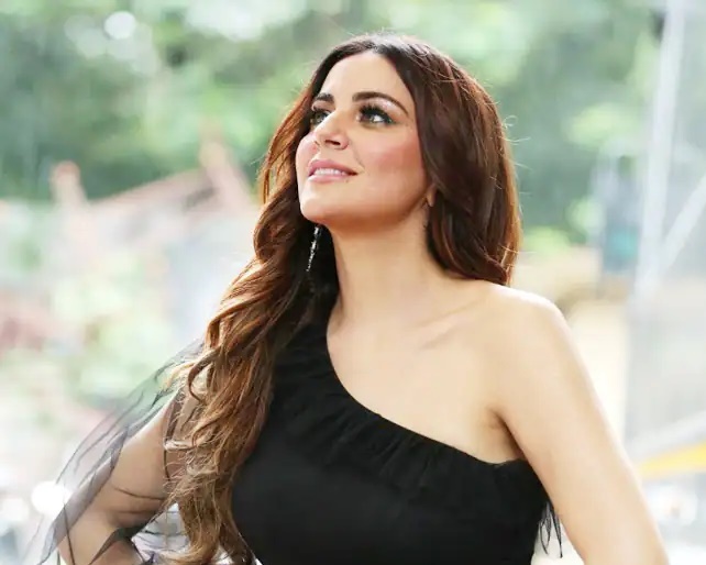 Photos: Shraddha Arya Will Undoubtedly Mesmerize You In Black One- Shoulder Gown - 1