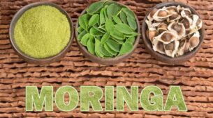 Powerhouse Of Antioxidants! Here’s How Moringa Is A Natural Energy Booster