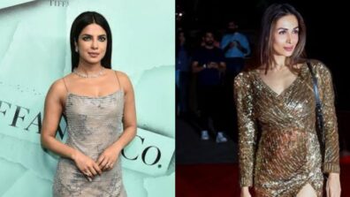 Priyanka Chopra & Malaika Arora are shelling out some sizzling party-worthy cues for netizens: Go steal