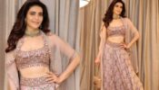 A Vision To Behold! Karishma Tanna Is A Treat To Our Eyes In A Printed Lehenga; Check Out Here