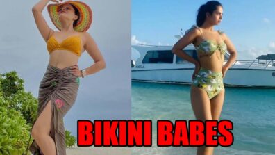 Rubina Dilaik and Avika Gor flaunt their perfect curves in new bikini photos, fans can’t stop drooling