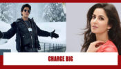 Shah Rukh Khan’s 3 Crore To Katrina Kaif’s 3.5 Crore: Check Out How Much Bollywood Celebs Charge To Participate In Private Weddings