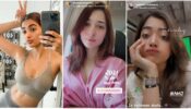 Smiling Assassins: Pooja Hegde, Tamannaah Bhatia and Rashmika Mandanna are here to steal our hearts with their super hot selfies, are you feeling the heat?