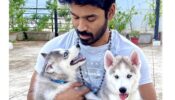 South Superstar Dhanush Brings Home Two New Members; Check Out How They Are Connected To Hollywood