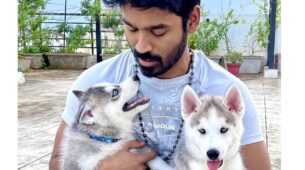 South Superstar Dhanush Brings Home Two New Members; Check Out How They Are Connected To Hollywood