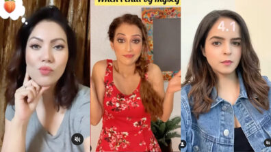 Taarak Babes: Munmun Dutta, Sunayana Fozdar and Palak Sindhwani play the game of filters and challenges, see viral videos