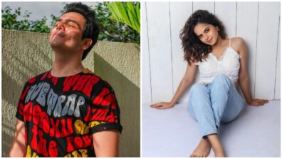 Tapu Sena Social Masti: Raj Anadkat shares handsome smiling sun-kissed avatar, Palak Sindhwani caught on camera giving a super hot expression