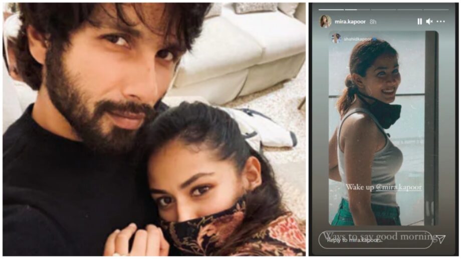 The Perfect Two: Shahid Kapoor And Mira Rajput's Adorable Good Morning Pictures Will Make Your Hearts Melt, See Here 472830
