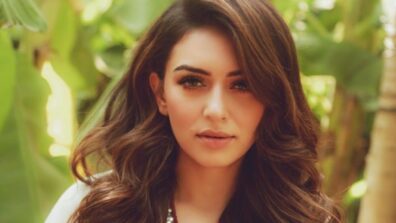 Throwback trolls: Times when intimate pictures of Hansika Motwani were leaked from her recent holiday in New York, deets inside