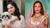 TMKOC Gorgeous Divas: Palak Sindhwani and Sunayana Fozdar dazzle in ethnic outfits for Ganesh Chaturthi celebration, fans in awe