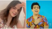 TMKOC star Palak Sindhwani gets caught up in different moods, Raj Anadkat says, ‘O mere dil ke chain’