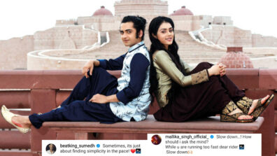 Too fast dear: Sumedh Mudgalkar and Mallika Singh want to slow down and find simplicity in life together, deets inside