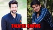 TV stars who have also done theatre shows: find out