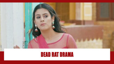 Udaariyaan Spoiler Alert: OMG!! Jasmine creates drama with a dead rat