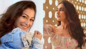 Ultimate Hot Beauties: Sunayana Fozdar and Surbhi Jyoti flaunt their curvaceous midriffs in denim avatar, fans go bananas