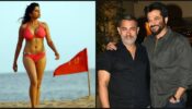 Unknown Fact: Did You Know Mimi Fame Sai Tamhankar Has Acted With Bollywood Superstars Like Aamir Khan And Anil Kapoor