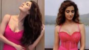 Vaani Kapoor VS Disha Patani: Which Diva Looks Like A Dream In Sweet Pink Outfits?