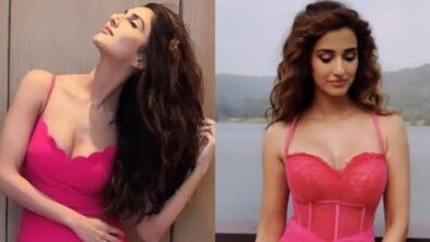 Vaani Kapoor VS Disha Patani: Which Diva Looks Like A Dream In Sweet Pink Outfits?