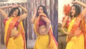 Watch Now: Bhojpuri Diva Monalisa Breaks The Internet With Her Sensuous Dance On ‘Aao Raja’, Fans Sweat