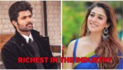Who Is Richest In South Film Industry: From Vijay Deverakonda To Nayanthara, Find Out Here