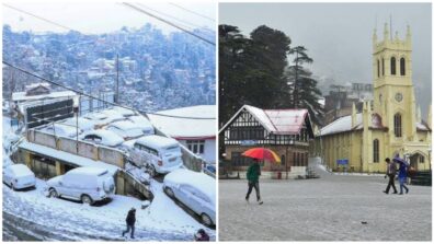 Alluring Things To Do In Shimla! Planning A Trip To Shimla? Check Out Here