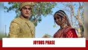 Yeh Rishta Kya Kehlata Hai Spoiler Alert: Kartik and Sirat’s joyous phase of life