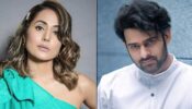 Rumours About Hina Khan To Make Her Tollywood Debut Opposite Prabhas In The Film Vrindavana, Deets Here