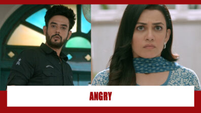 Zindagi Mere Ghar Aana Spoiler Alert: Pritam’s act to get Amrita fuming