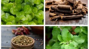 5 Immunity Boosting Plants That You Need To Have In Your Home Garden