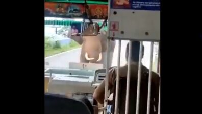 A Cool Mind Works Wonders! An Elephant Smashes The Windshield Of A Bus In Tamil Nadu; Netizens Laud The Driver For Keeping His Cool