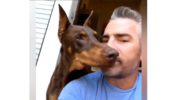 A Man Asks His Dog For A Favor And You Won’t Believe What Happened Next; Check Out The Delightful Video Here