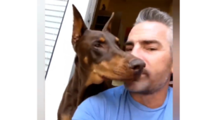 A Man Asks His Dog For A Favor And You Won’t Believe What Happened Next; Check Out The Delightful Video Here