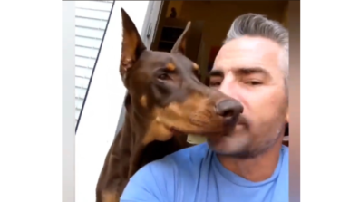 A Man Asks His Dog For A Favor And You Won’t Believe What Happened Next; Check Out The Delightful Video Here