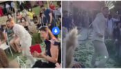 A Video Of A Groom Showcasing Some Cool Dance Moves While Entering His Wedding Ceremony Has Left People Smiling, Watch Here