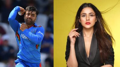 Afghanistan cricketer Rashid Khan has a message for Bigg Boss fame Shehnaaz Gill, check out here