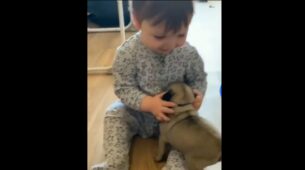 An Adorable Video Of A Baby Playing With A Cute Puppy Has Gone Viral On Social Media, Watch To Freshen Up Your Mood