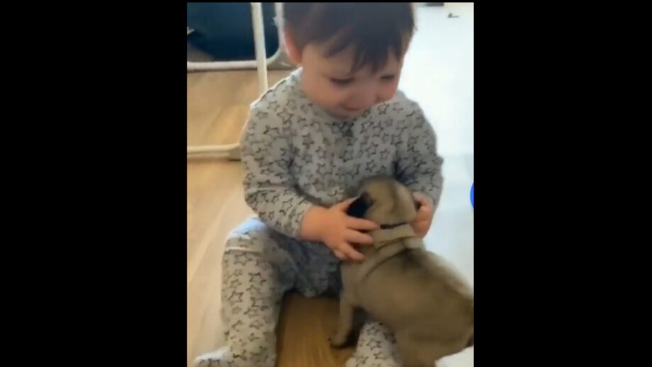 An Adorable Video Of A Baby Playing With A Cute Puppy Has Gone Viral On Social Media, Watch To Freshen Up Your Mood 479358