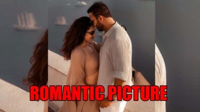 Ankita Lokhande’s romantic picture with Vicky Jain makes fans blush, check now